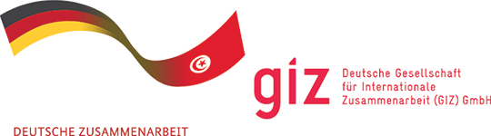 GIZ